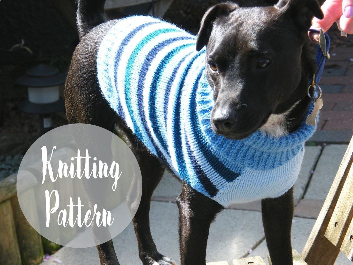 Finished Cosy Dog Jumper — free knitting pattern
